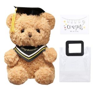 Personalized Graduation Teddy Bear with Gift Bag