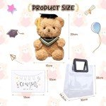Personalized Graduation Teddy Bear with Gift Bag