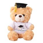 Personalized Graduation Teddy Bears - 2025 Gifts