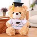 Personalized Graduation Teddy Bears - 2025 Gifts