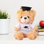 Personalized Graduation Teddy Bears - 2025 Gifts