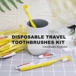 Compact Hygiene Kit: 300 Disposable Toothbrushes & Toothpaste