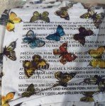 Claire Horse Print 2-Piece Set for Kids 4T