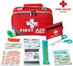 250-Piece Emergency First Aid Trauma Kit