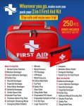 250-Piece Emergency First Aid Trauma Kit