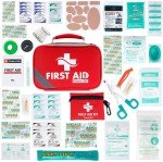 250-Piece Emergency First Aid Trauma Kit
