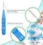 Dental Hygiene Kit: 350 Interdental Brushes & Picks