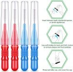 Dental Hygiene Kit: 350 Interdental Brushes & Picks