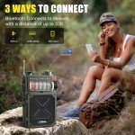 Emergency Crank Radio with NOAA Weather Alerts