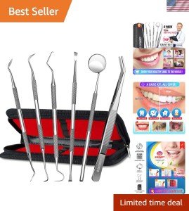 6-Piece Stainless Steel Dental Hygiene Kit