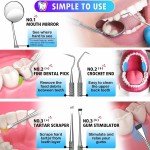 6-Piece Stainless Steel Dental Hygiene Kit