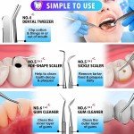 6-Piece Stainless Steel Dental Hygiene Kit