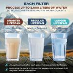 6-Pack Personal Water Filter Straws for Survival