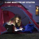 250W Portable Solar Power Station Battery Pack