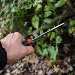 Morakniv Companion Outdoor Knife - 4.1-Inch Stainless Blade