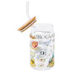 Hogwarts Platform 9 3/4 Gryffindor Hedwig Tumbler