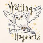 Hedwig Owl Hoodie for Little Harry Potter Fans