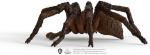 Schleich Harry Potter Aragog Spider Figurine