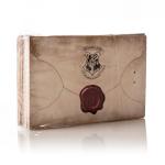 Floating Hogwarts Acceptance Letter Decor - 40 Cards