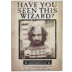 Harry Potter Sirius Black 3D Wood Wall Art