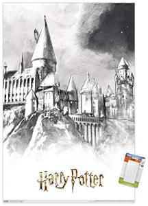Harry Potter Illustrated Hogwarts Wall Poster Bundle