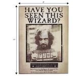 Harry Potter Sirius Black 3D Wood Wall Art