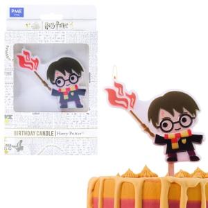 Harry Potter Character Birthday Candle Set
