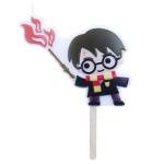 Harry Potter Character Birthday Candle Set