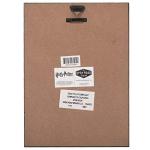 Harry Potter Sirius Black 3D Wood Wall Art