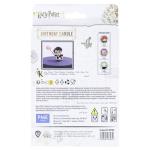 Harry Potter Character Birthday Candle Set