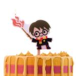 Harry Potter Character Birthday Candle Set