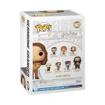 Hermione Granger with Crookshanks Funko POP!
