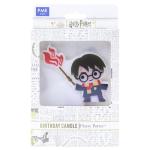 Harry Potter Character Birthday Candle Set