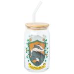 Hufflepuff House Crest Glass Tumbler with Straw