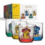 Harry Potter House Pride Drinking Glasses Set of 4