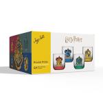 Harry Potter House Pride Drinking Glasses Set of 4
