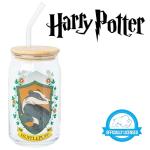 Hufflepuff House Crest Glass Tumbler with Straw