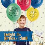 Harry Potter Birthday Party Supplies for 16 Guests