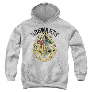 Harry Potter Retro Hogwarts Logo Kids Hoodie