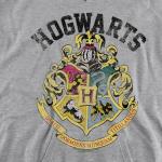 Harry Potter Retro Hogwarts Logo Kids Hoodie