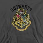 Harry Potter Hogwarts Crest Unisex Hoodie - Charcoal