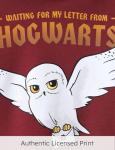 Harry Potter Kids Hedwig Owl Pullover Hoodie