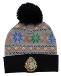 Harry Potter Hogwarts Knit Beanie and Gloves Set