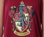 Gryffindor Hogwarts House Women's Pajama Set