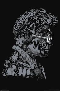 Harry Potter Text Graphic Wall Poster Unframed