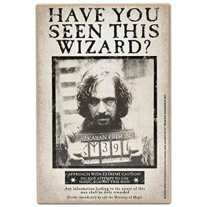 Sirius Black Wall Art - Vintage Harry Potter Decor