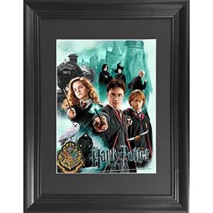 Harry Potter 3D Framed Wall Art Poster