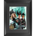 Harry Potter 3D Framed Wall Art Poster