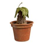 Harry Potter Mandrake Sound Christmas Ornament 2025