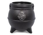 Harry Potter Dark Arts Scented Soy Candle